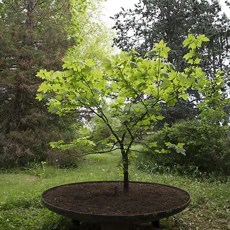 Bed & Breakfast Manoir De La Manantie - Teritoria