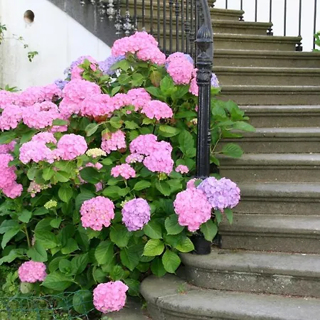 Manoir De La Manantie - Teritoria Lezoux